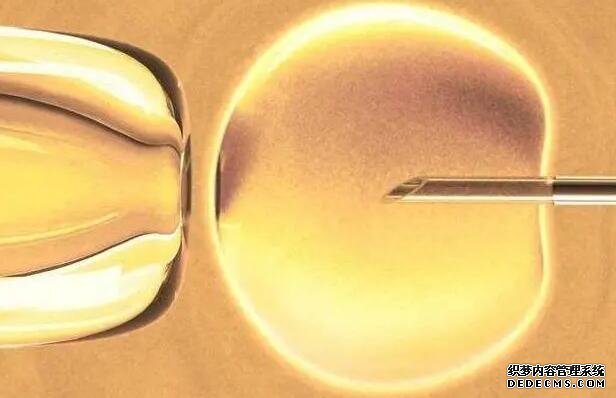 2022北京美中宜和试管婴儿价格表(附具体项目收费标准)-降调针进口价格