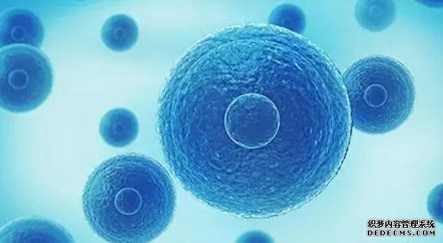 福州代生价格多少 福州总院三代试管流程及费用标准参考 ‘四维彩超通过胎心率可以看出男女吗’