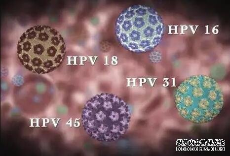 深圳最佳代怀网 深圳试管婴儿费用多少 ‘孕囊6,6,8是男孩吗’