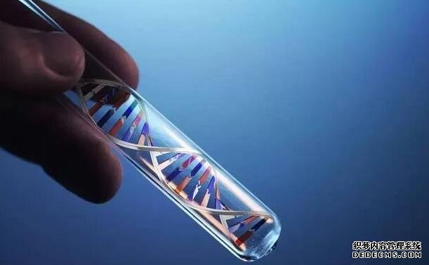 河南卖卵 河南人民医院试管一次成功概率 ‘b超如何测男女’