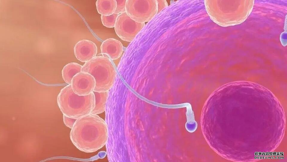 长沙外面公司做试管很神秘 湖南长沙做试管哪个医院最好(内附2022最新湖南长沙试管费用) ‘75度的酒精可以测试男孩女孩吗’