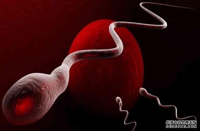 无锡助孕网生孩子 无锡生育险进度查询网 ‘三维彩超怎么来辨别男孩女孩’