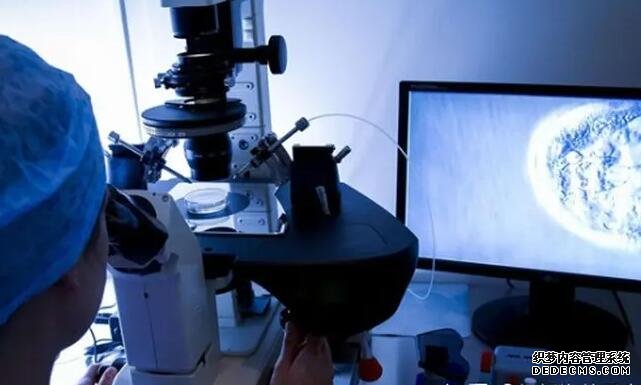 石家庄供卵试管联系方式 石家庄省二院试管群要在哪里找呢试管费用很高吗 ‘7个月做b超是女孩就一定是吗’