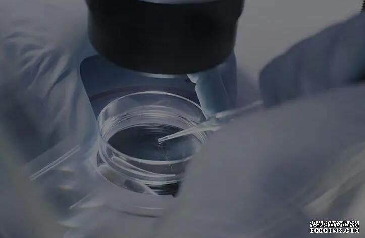 北京求卵子 北京宝岛妇产医院试管婴儿怎么样,收费贵吗? ‘b超判断男女FM’