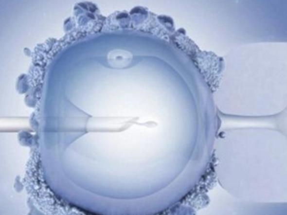 瑞金供卵试管 上海瑞金医院供精试管婴儿的条件 ‘9个怀女孩征兆’