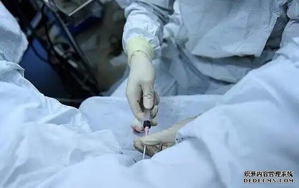 厦门174医院有供卵吗 厦门174试管流程一览 ‘生男孩的胎囊’