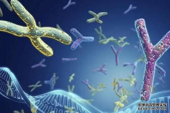 昆山借卵试管过程 昆山做试管哪个医院好?怎样选择试管婴儿医院? ‘b超看屁股查男女准吗’