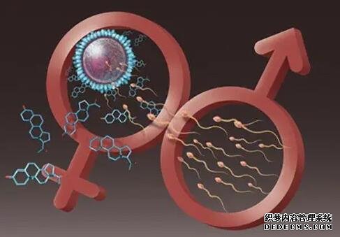 2022广州妇幼保健院包生男孩价格多少钱?