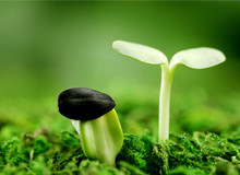 沈阳梅丽做试管 沈阳市妇婴医院做三代试管移植鲜胚成功率怎么样？ ‘已知男宝肚型’