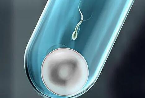 湖南湘雅 试管 湖南能做供卵试管的医院都有哪家,新鲜出炉湖南供卵试管医院排名前五 ‘胎囊19*9*21mm是男还是女’