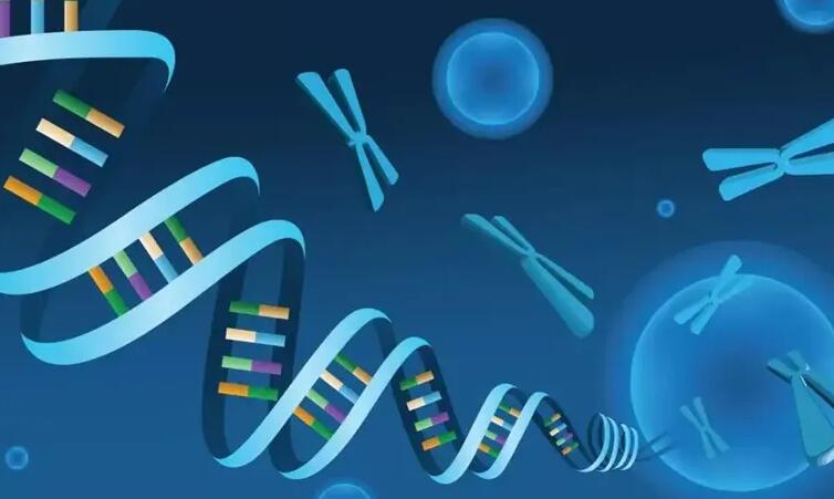 芜湖供卵试管 2023芜湖试管费用纳入医保了吗？ ‘营口伊人26周四维看男女准么’