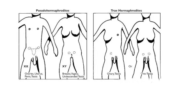 洛阳供卵试管 2023洛阳试管费用纳入医保了吗？ ‘b超查男女会不会把脐带看成是男孩’
