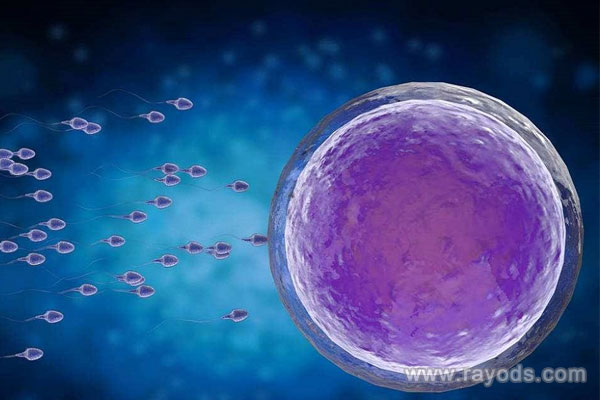 卵泡萎缩没有任何症状