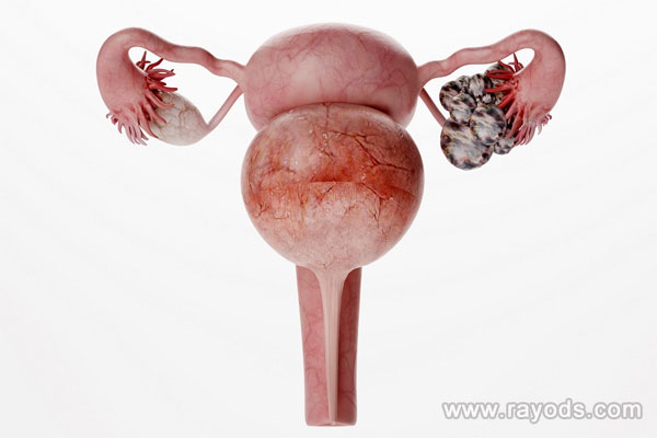 上海试管助孕认准优贝贝,上海供卵试管助孕技术成熟吗?