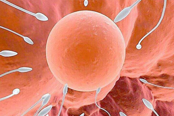 上海供卵试管资讯报道,上海供卵试管要花多少钱呢?