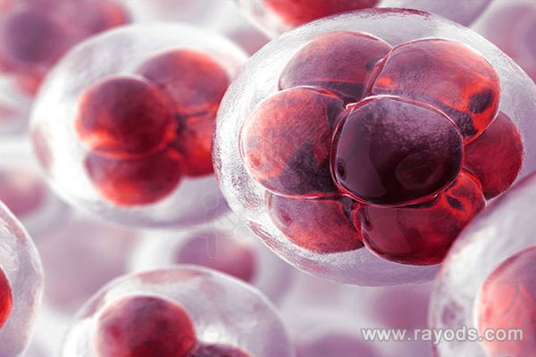 卵泡萎缩做试管能不能成功