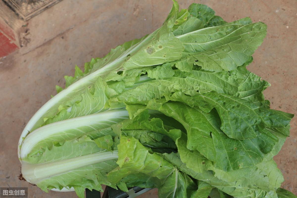 生活中的新生儿窒息因有哪些？不合理的盖被导致宝宝窒息最常见