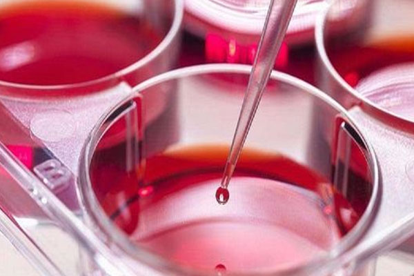 在上海做第二代试管大概要花多少钱