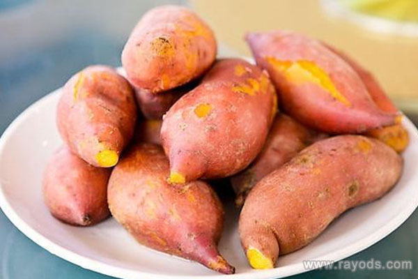 仁济做试管流程,上海三代试管婴儿到几岁结束