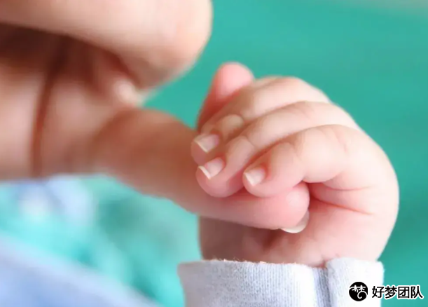 上海供卵包男孩机构,上海三代试管婴儿资讯报道