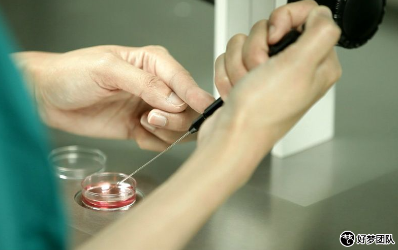 上海正规三代试管婴儿多少钱?上海合法供卵试管婴儿中心在哪