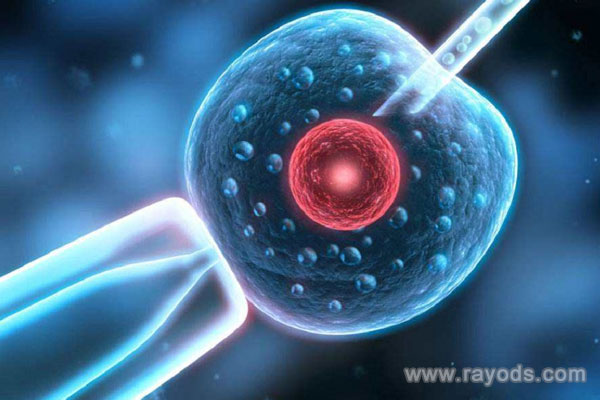 上海试管婴儿就上海坤和,女人42岁做试管婴儿成功率