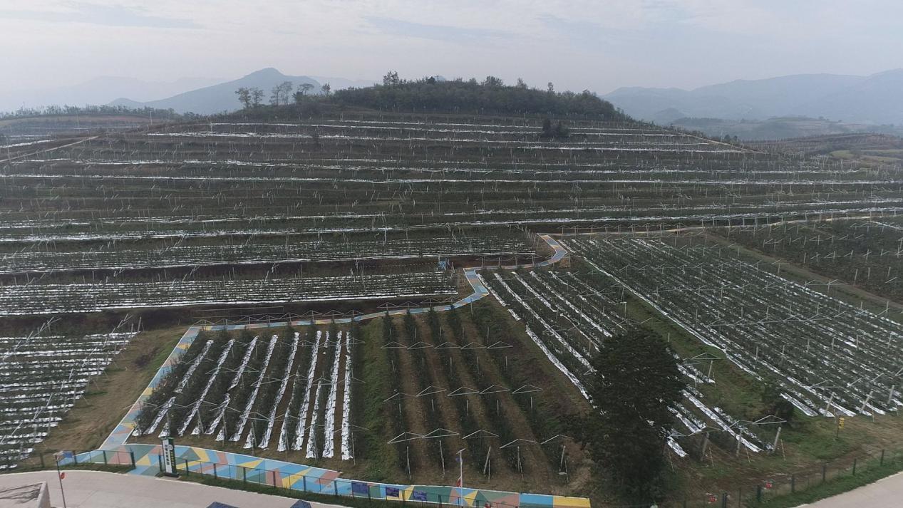 新生儿频繁打嗝的成因与对策