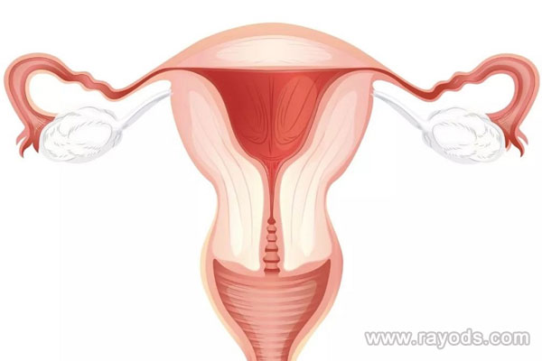 输卵管疾病的治疗方式