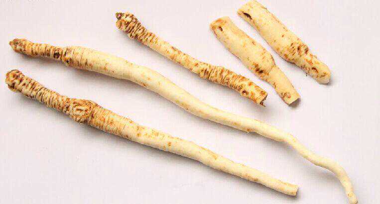 音乐的魅力：陶醉人心，愉悦心情