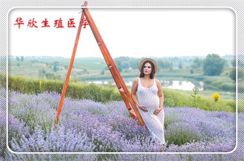 试管助孕网,代怀机构