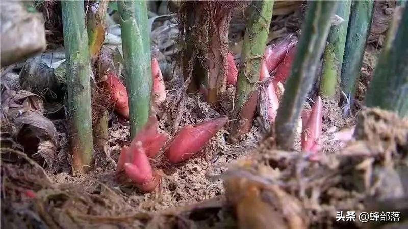 谷雨时节，如何给宝宝养生和调理身体？