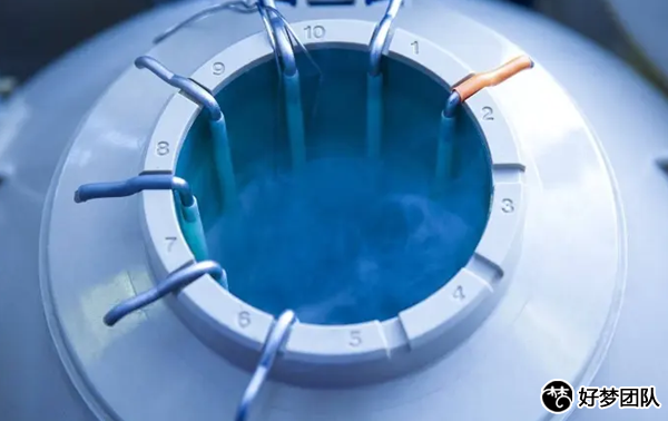 上海供卵试管代怀价格表,上海供卵试管周期多久啊