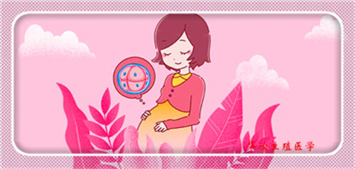 上海哪些医院可以做供卵试管婴儿手术,上海试管婴儿 价格