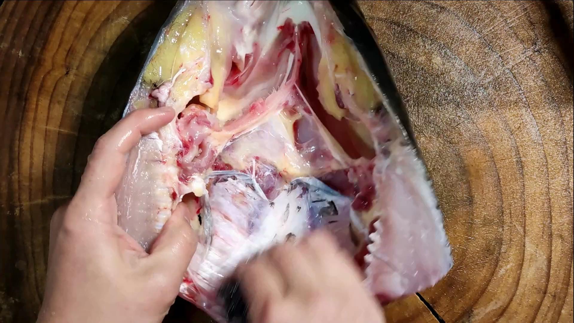 陪伴是最长情的告白。