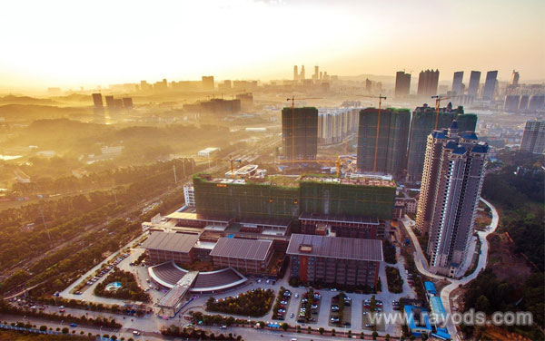 广州试管婴儿成功率较高