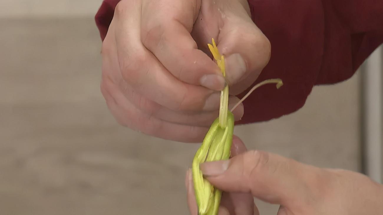 宝宝春天湿气重？妈妈快试试这些祛湿妙招