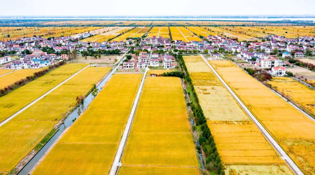 婴儿湿疹如何快速缓解?婴儿湿疹护理方法有哪些?