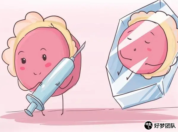 试管代孕成功率,上海三代试管婴儿失败率高吗?