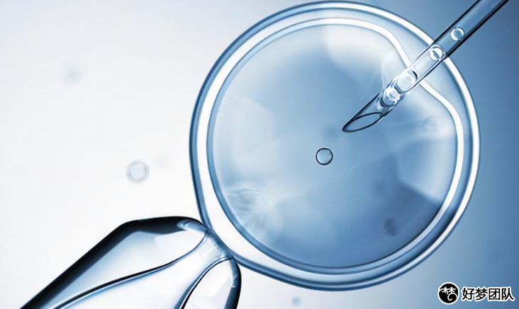 上海试管助孕咨询中心哪家好,42岁去上海做试管助孕多少钱?