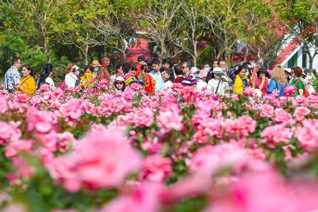 早期识别与应对：儿童手足口病及其症状处理指南