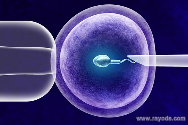 上海医院供卵试管婴儿成功率,上海三代试管婴儿失败率多少?