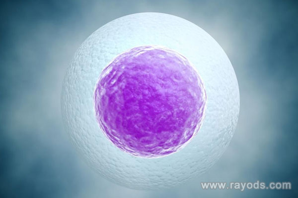 多卵巢多囊能试管婴儿,上海试管婴儿双胞胎的费用多少?