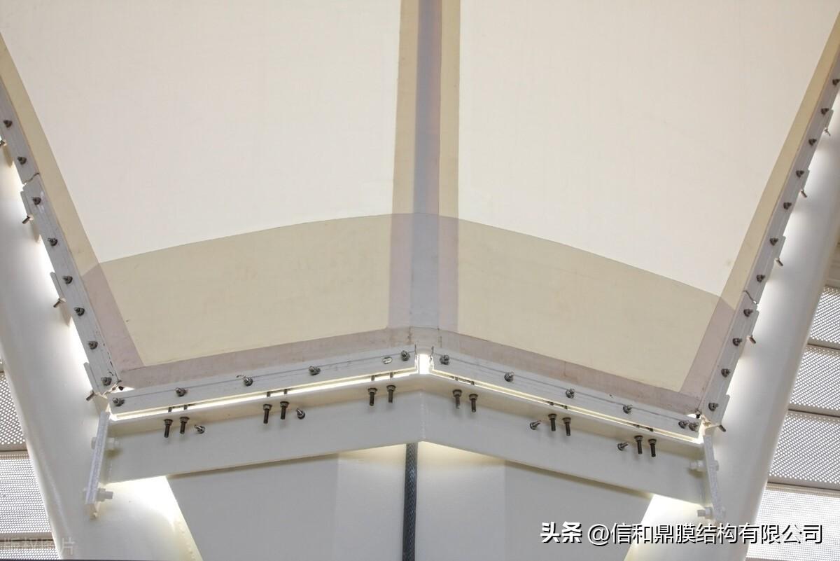 禅意父母:心灵成长的亲子教育