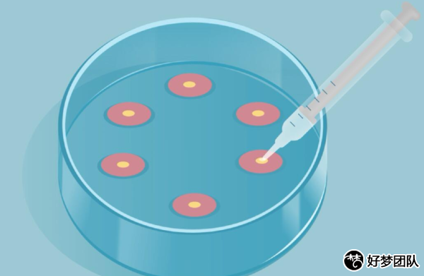 天津借供卵试管的医院,天津有供卵试管机构嘛