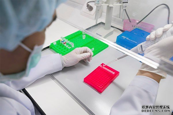 乌克兰三代试管技术费用概览，大概由两部分组成