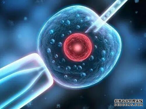 2023三代试管生男生女费用介绍，及影响成功率的因素