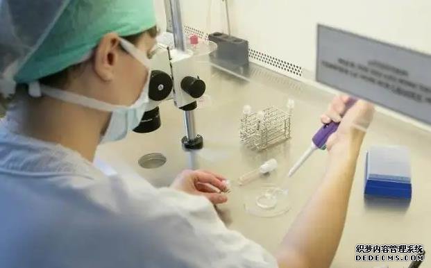 广东子嗣传承国际助孕中心_国内首例＂种植窗＂移植第三代试管婴儿在鄂诞生