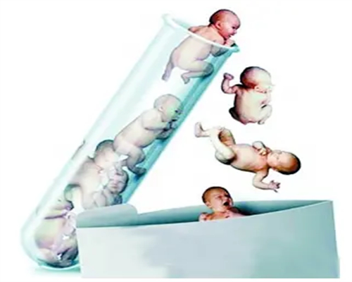 做试管囊胚可以看出是男孩还是女孩吗