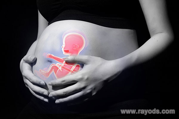 上海做试管供卵流程多少钱?试管供卵多少钱?