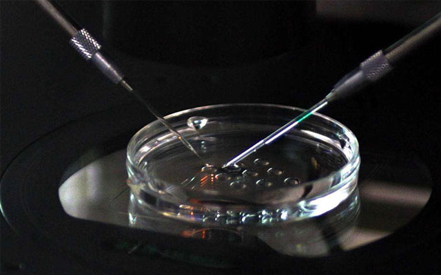 上海大龄供卵试管成功率高么,上海助孕母亲被杀